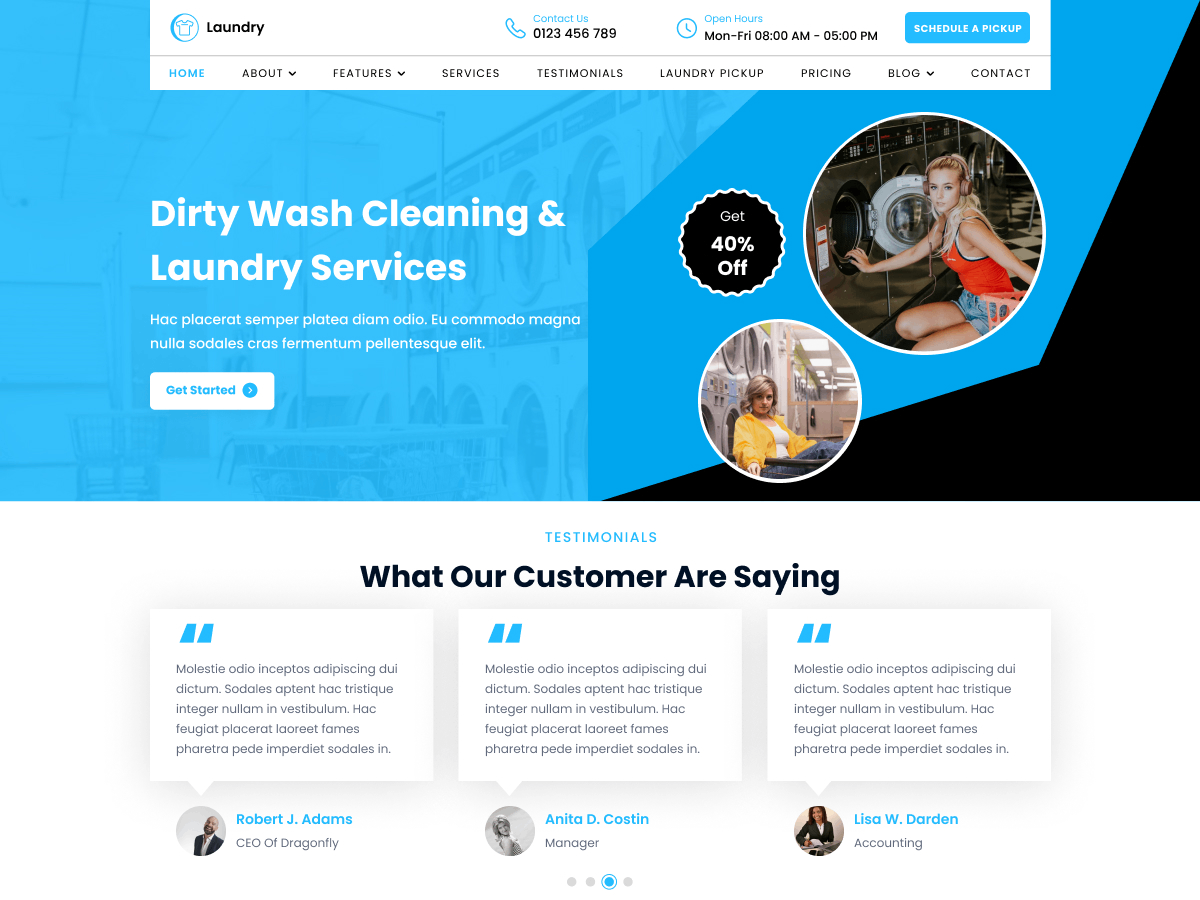 Laundry Cleaner theme screenshot