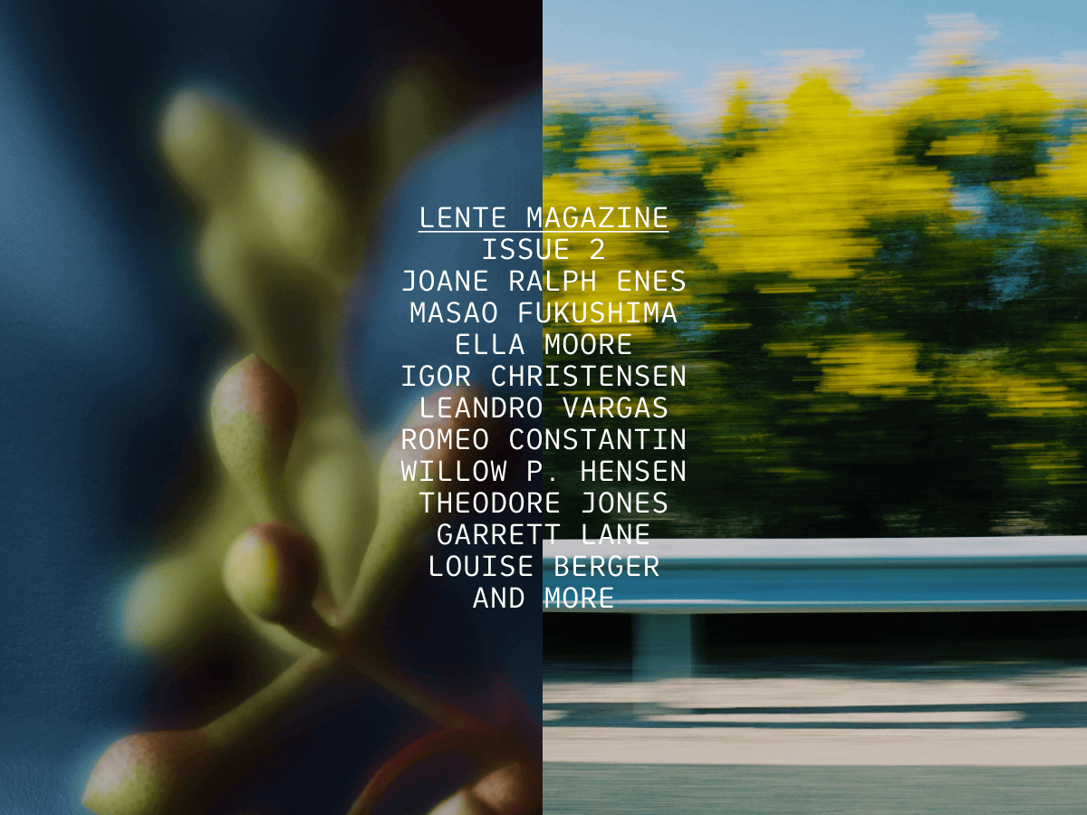 Lente theme screenshot