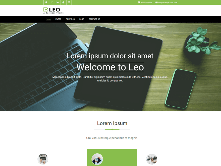 Leo theme screenshot