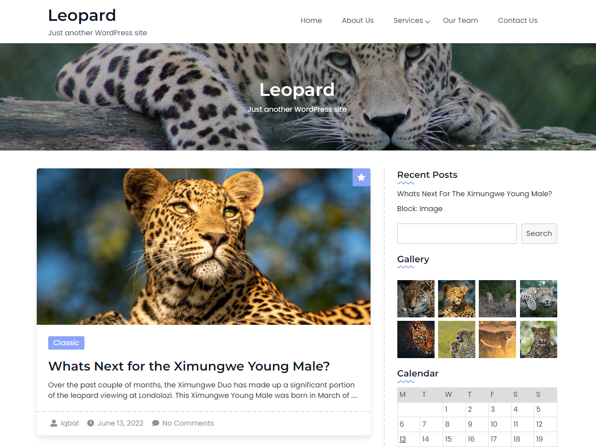 Leopard theme screenshot