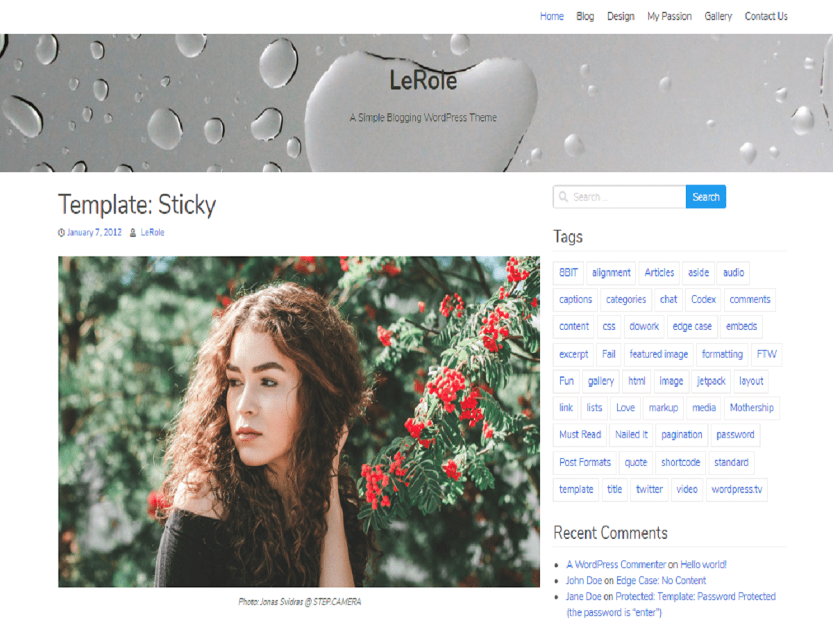 lerole theme screenshot