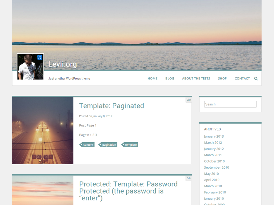 Levii theme screenshot