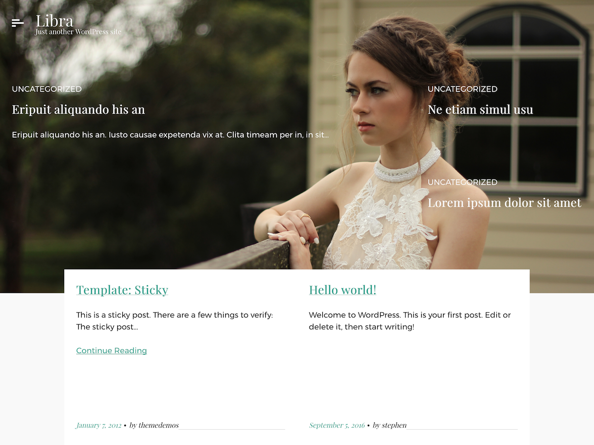 Libra theme screenshot