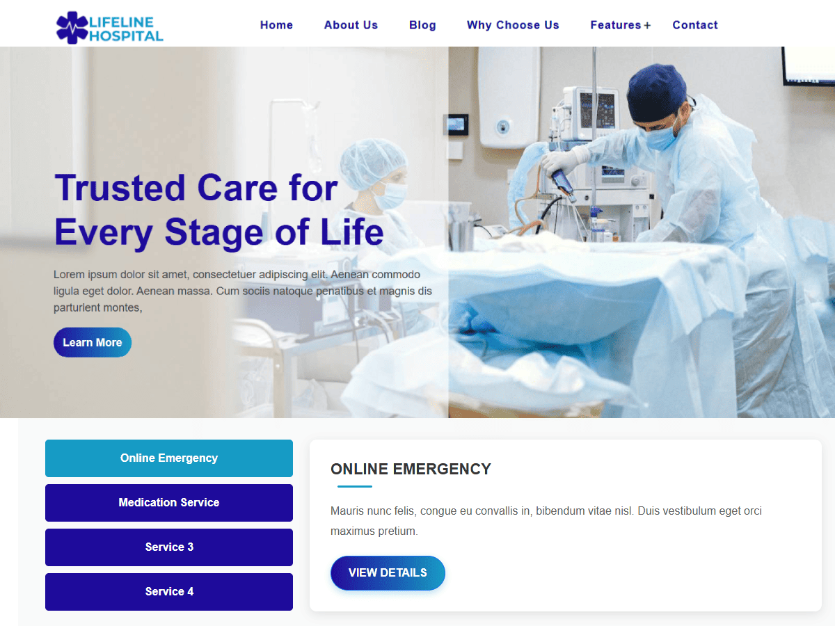 Lifeline Hospital theme screenshot