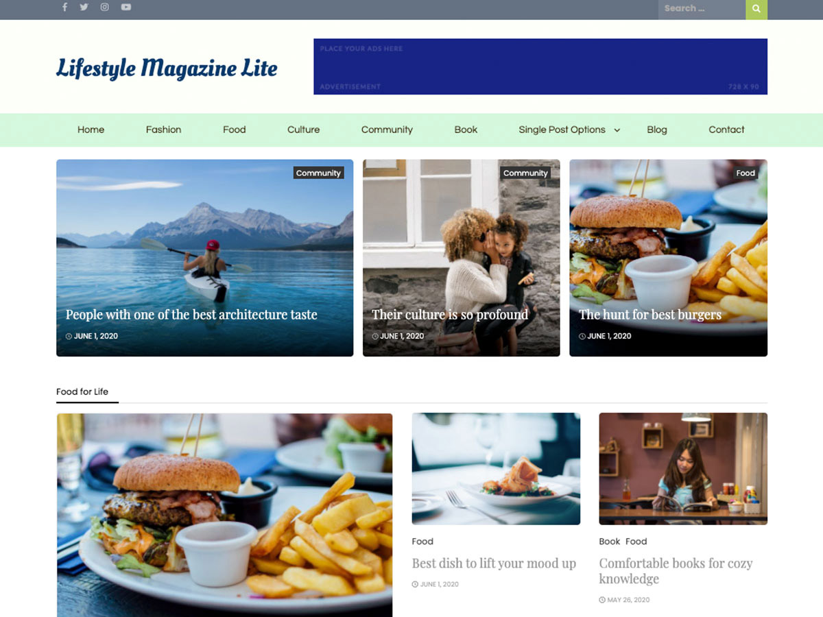 Lifestyle Magazine Lite theme screenshot