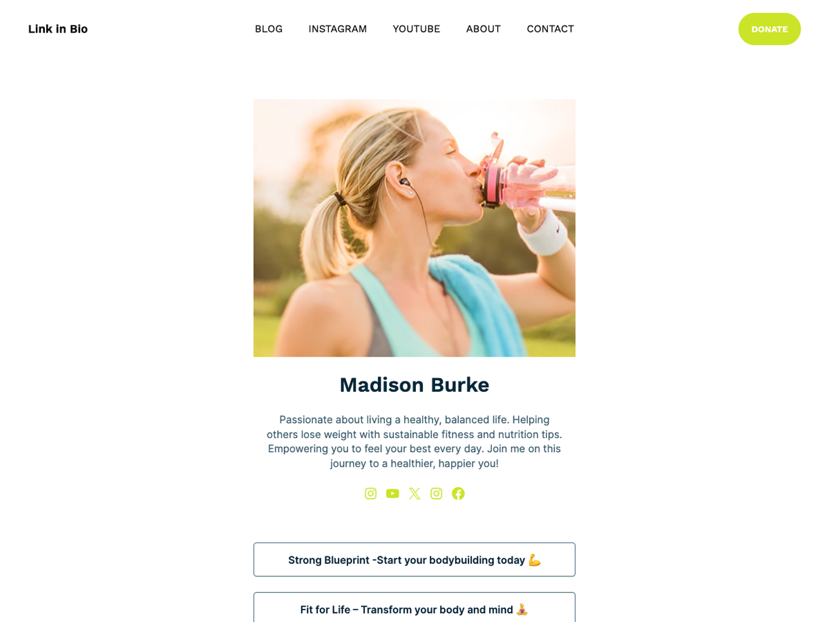 Link in Bio theme screenshot