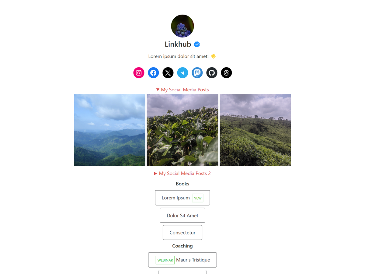 Linkhub theme screenshot