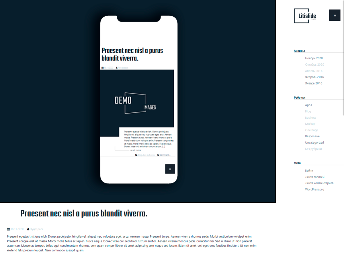 litislide theme screenshot