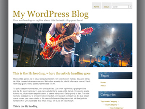 Live Music theme screenshot