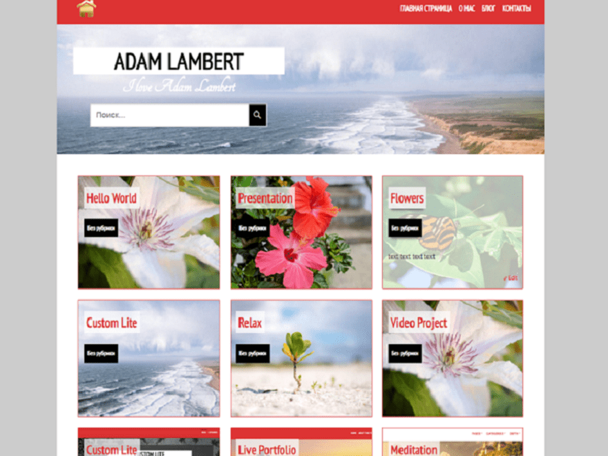 Live Portfolio theme screenshot