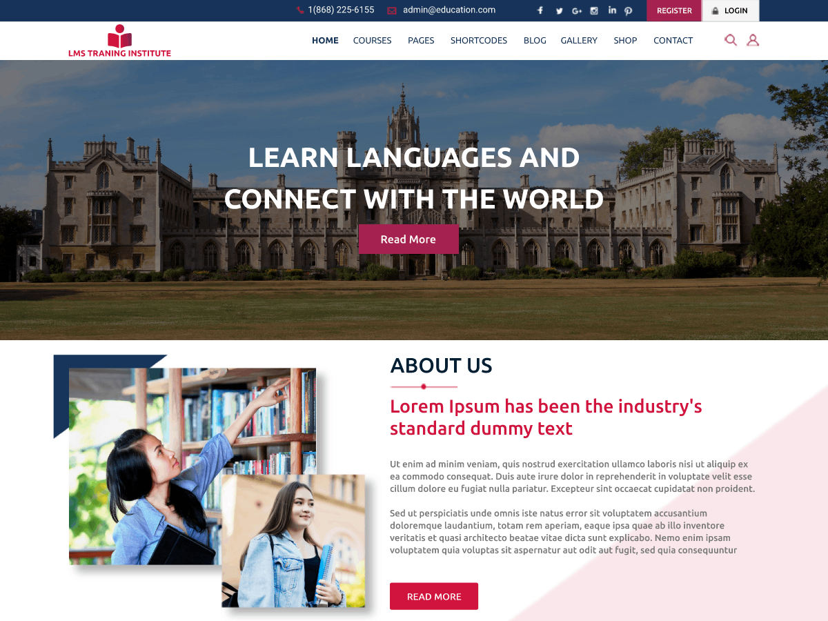 LMS Training Institute theme screenshot