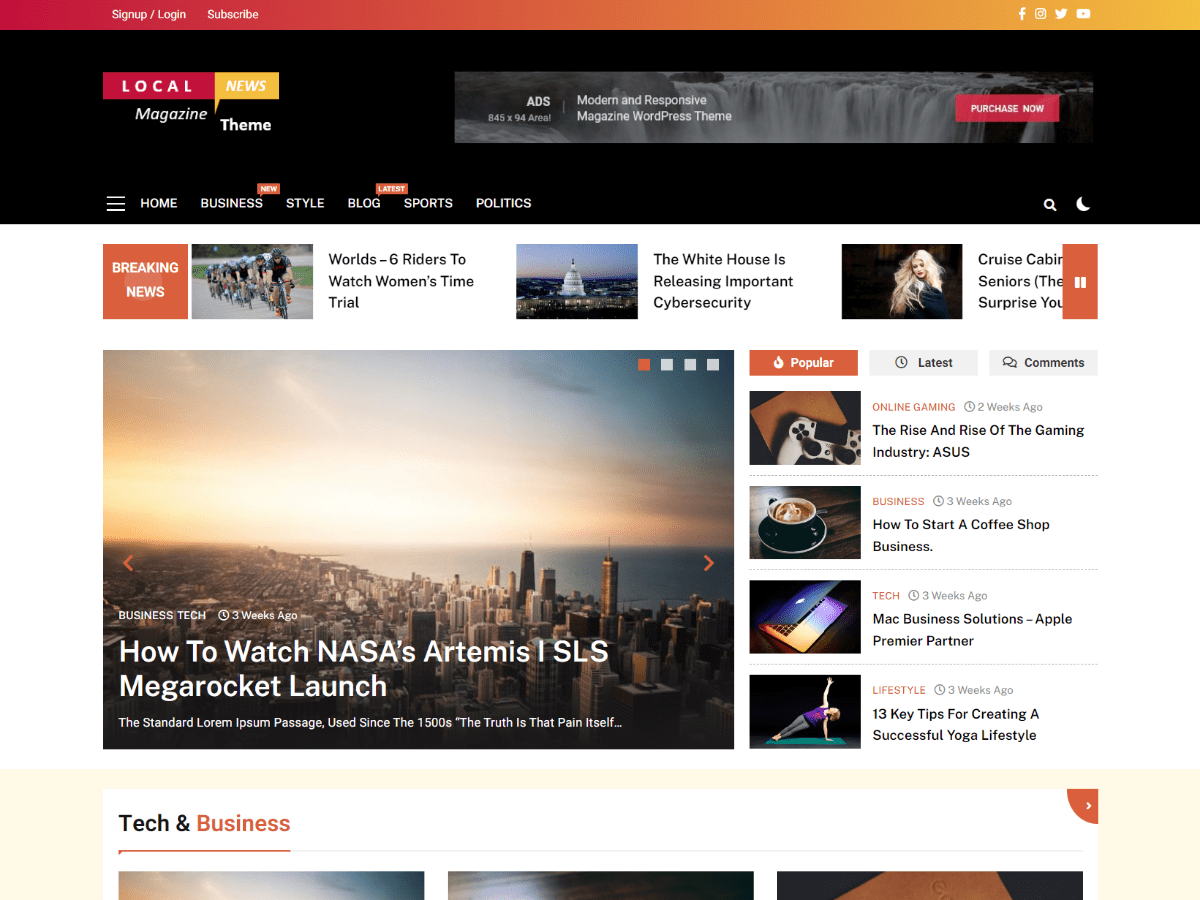 LocalNews theme screenshot