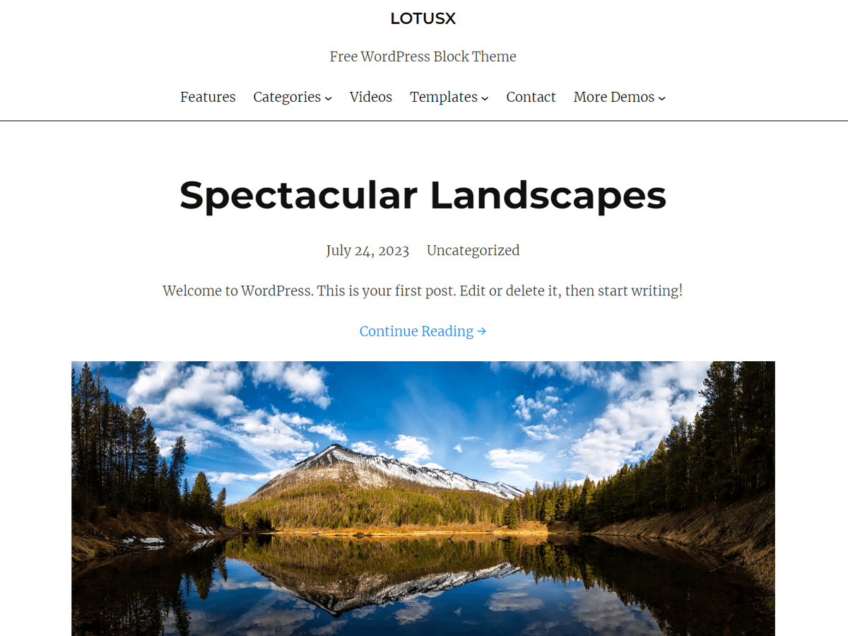 Lotusx theme screenshot