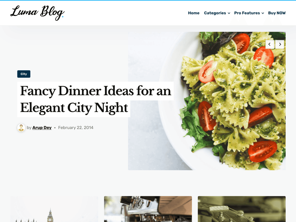 Luma Blog theme screenshot