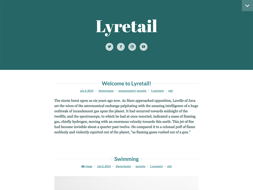Lyretail theme screenshot