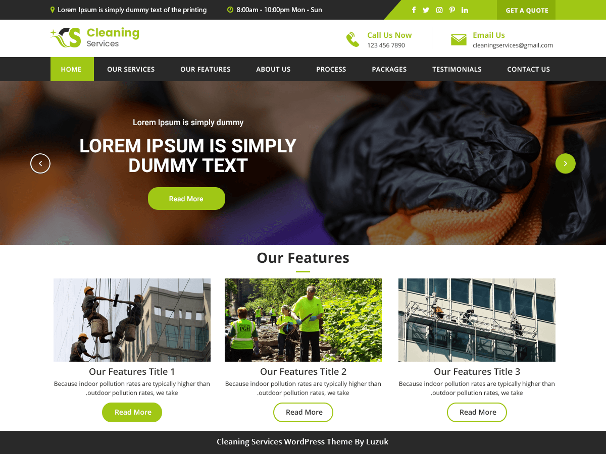 LZ Cleaning Services theme screenshot