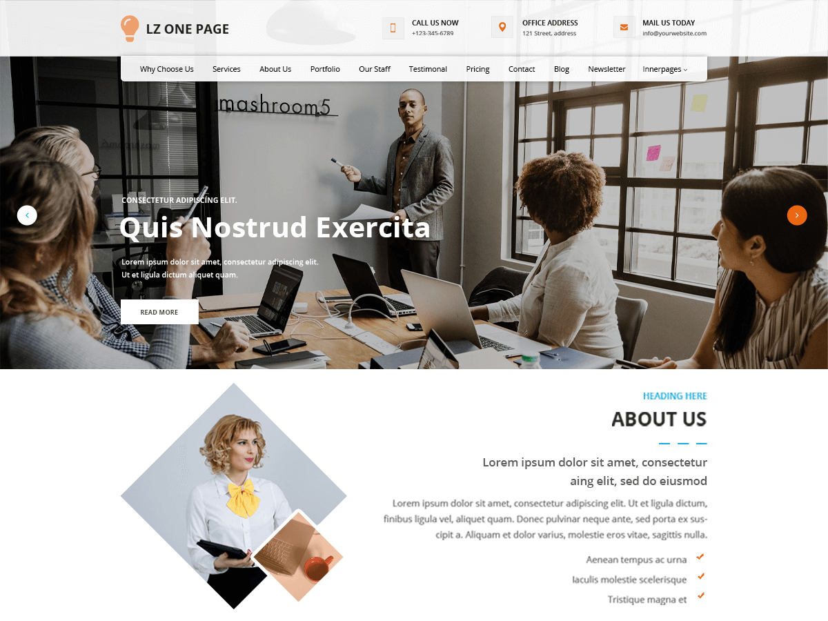 LZ One Page theme screenshot
