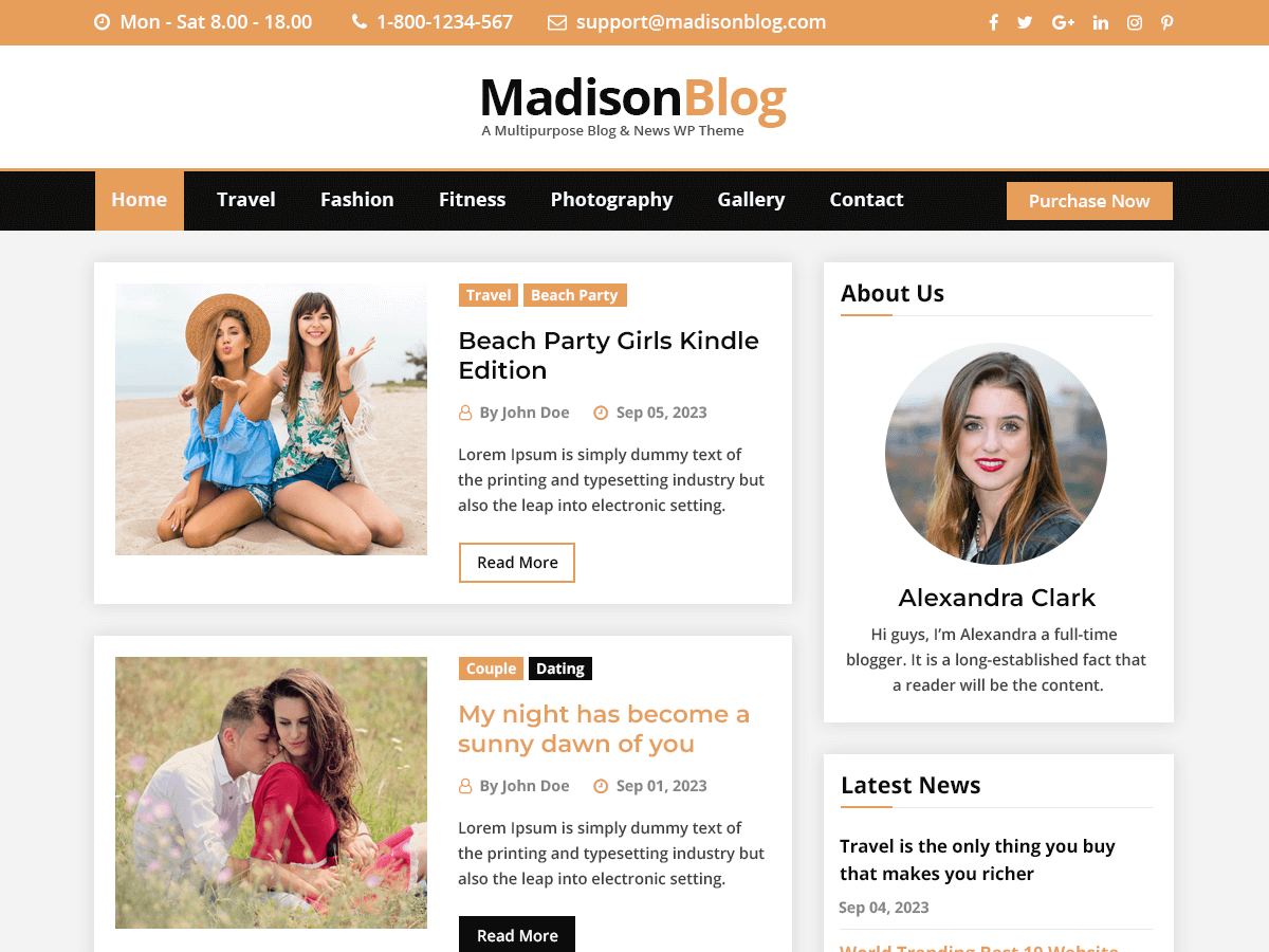 MadisonBlog theme screenshot