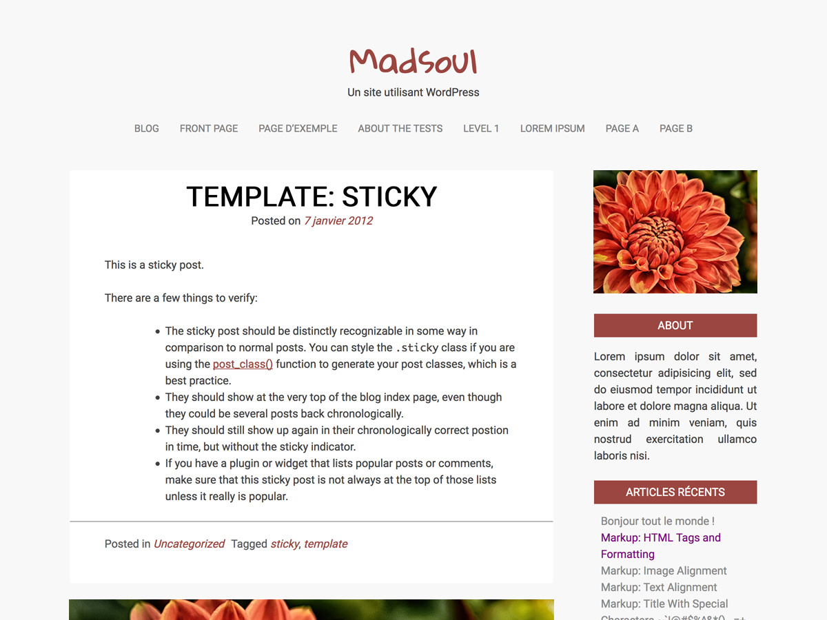 madsoul theme screenshot