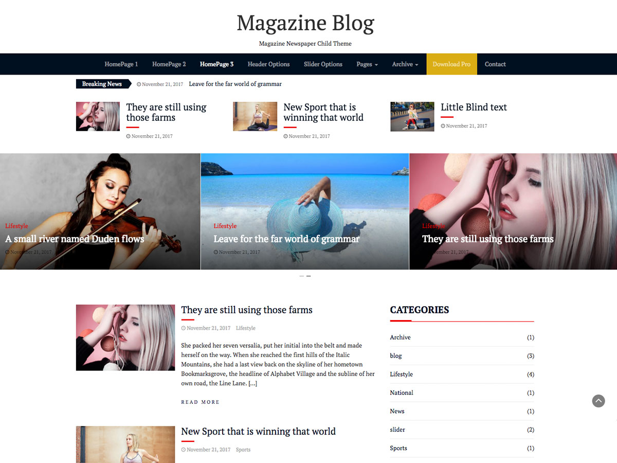 Magazine Blog theme screenshot