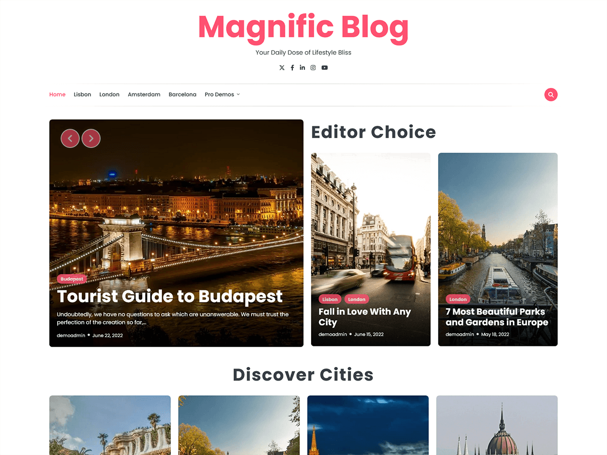Magnific Blog theme screenshot