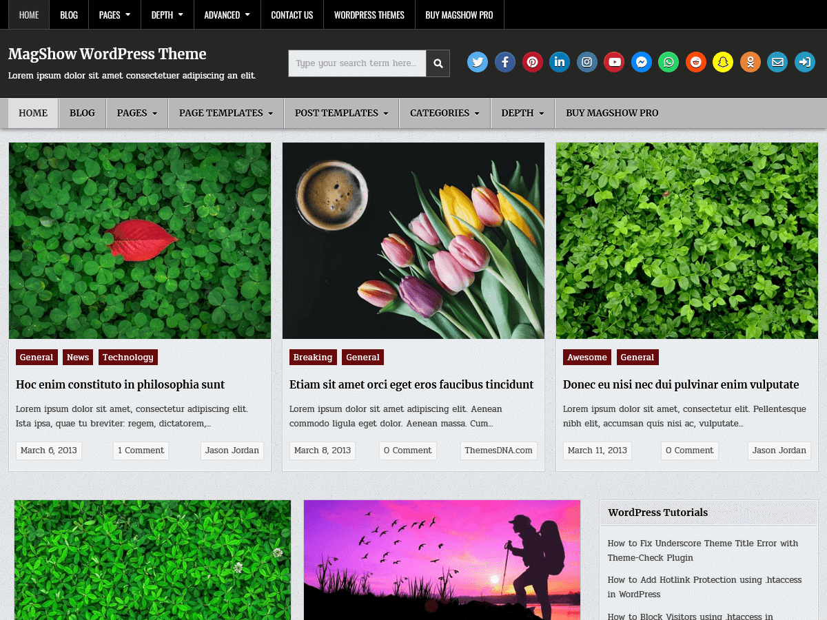 MagShow theme screenshot