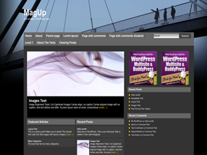 MagUp theme screenshot