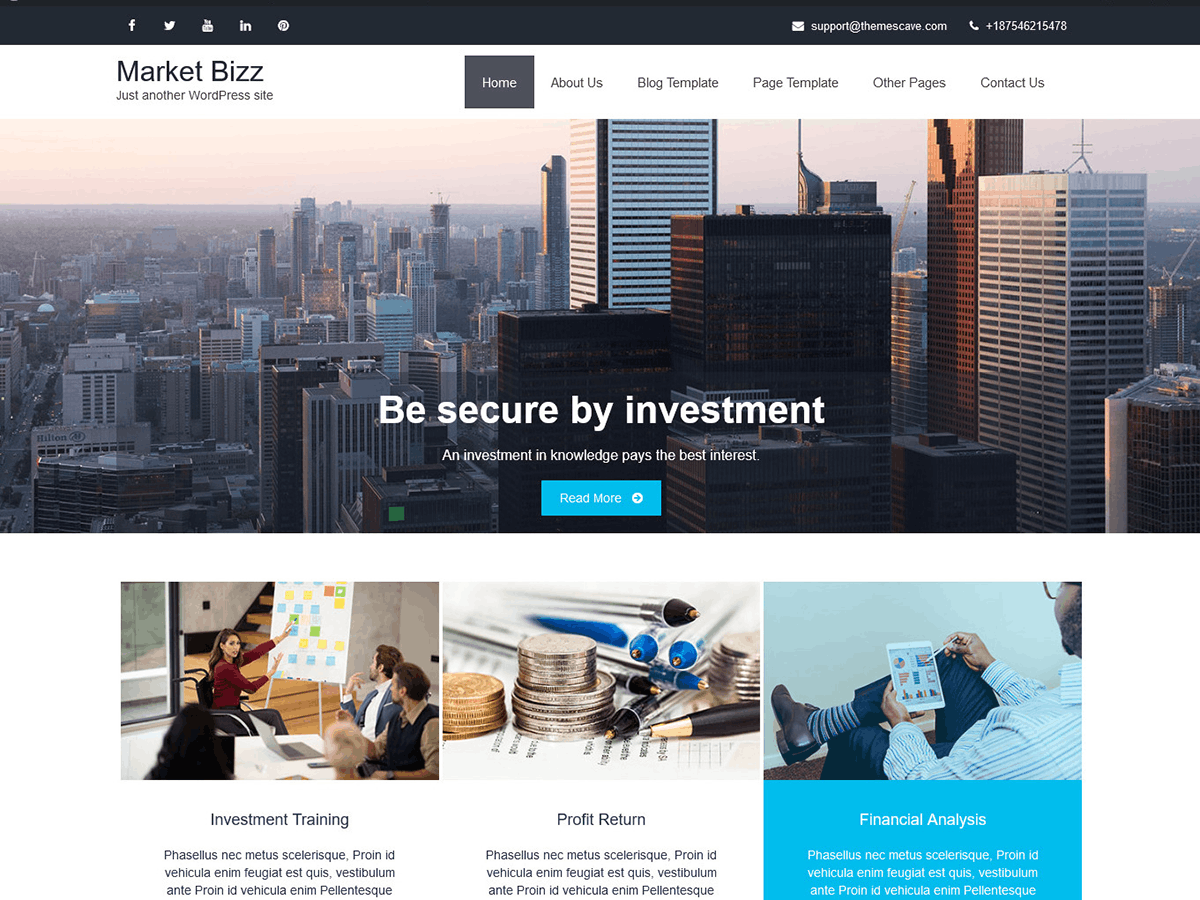Market Bizz theme screenshot