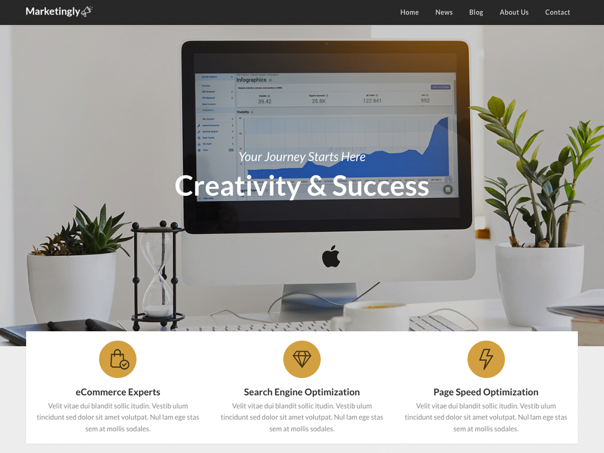 Marketingly theme screenshot