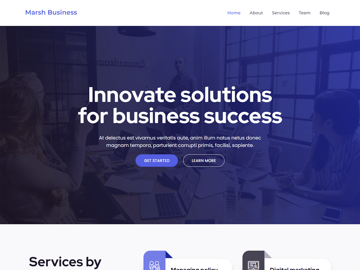 Marsh Business theme screenshot