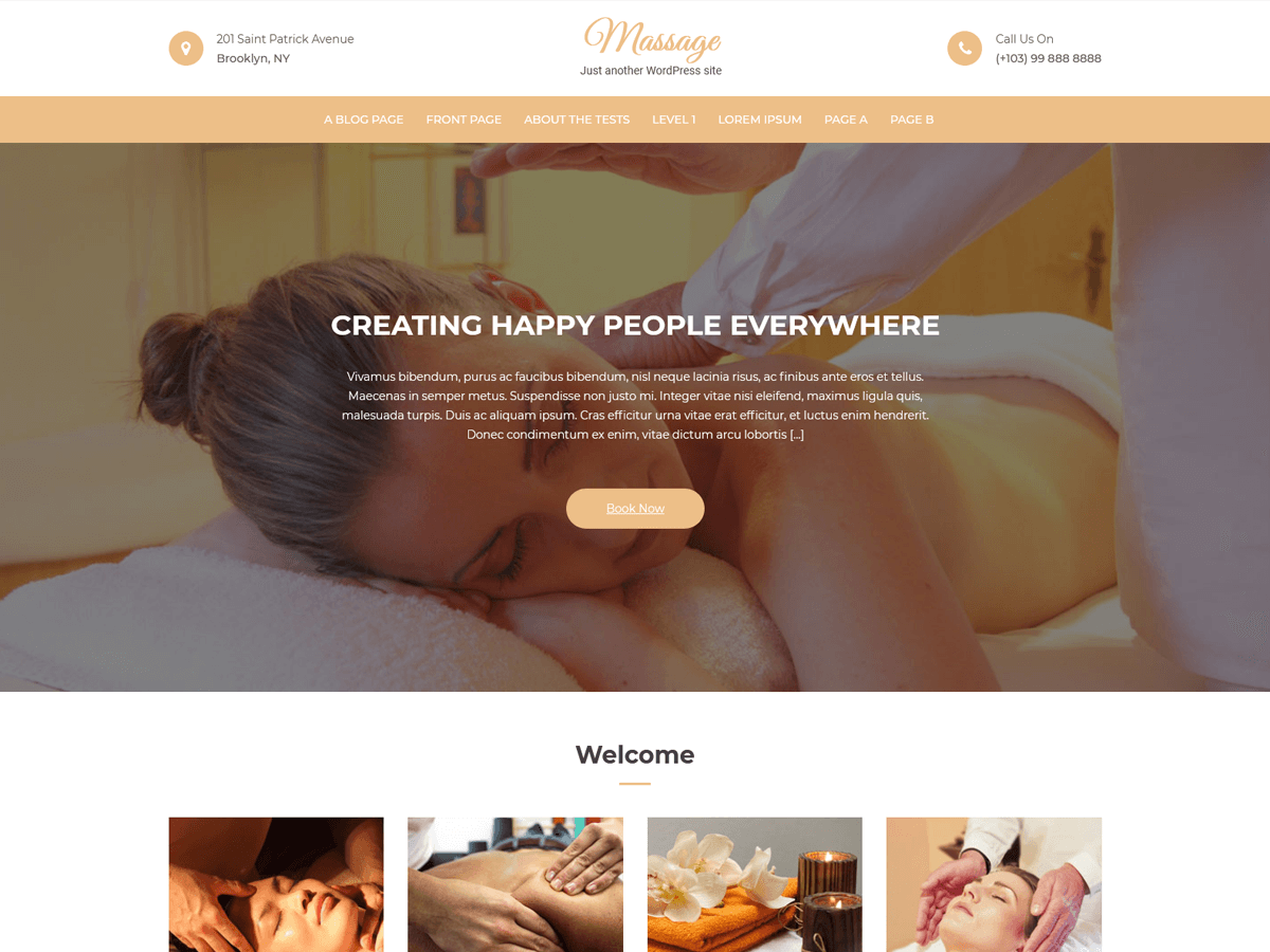 Massage Clean theme screenshot