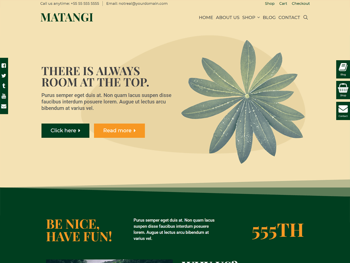 Matangi theme screenshot