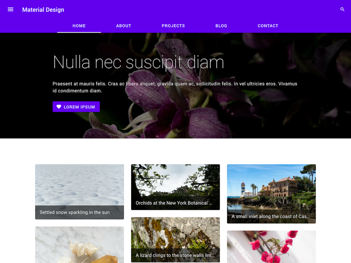 Material Design Google theme screenshot