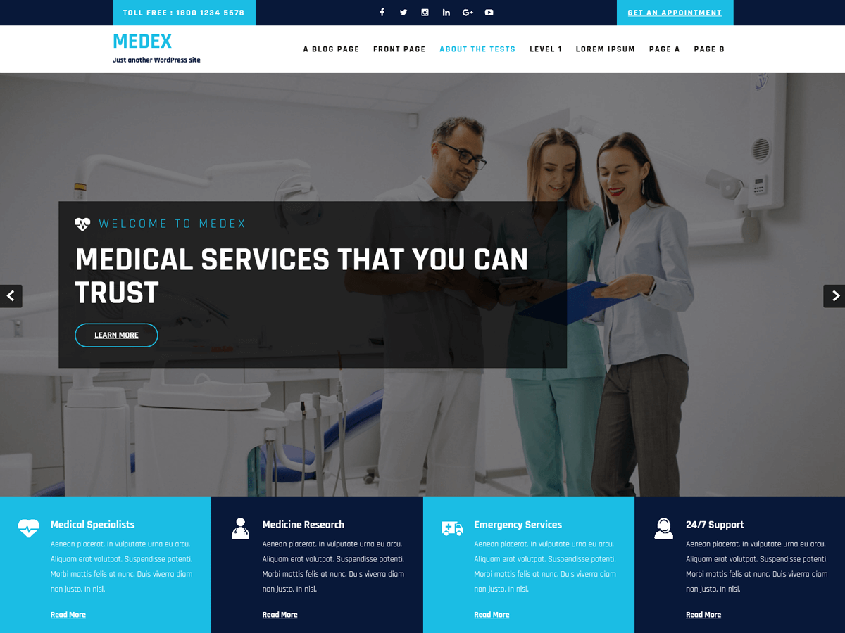 Medex Lite theme screenshot