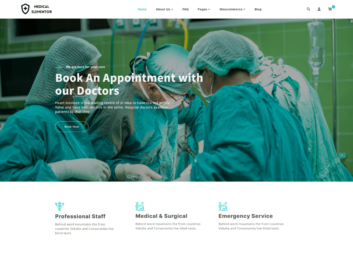 Medical Elementor theme screenshot