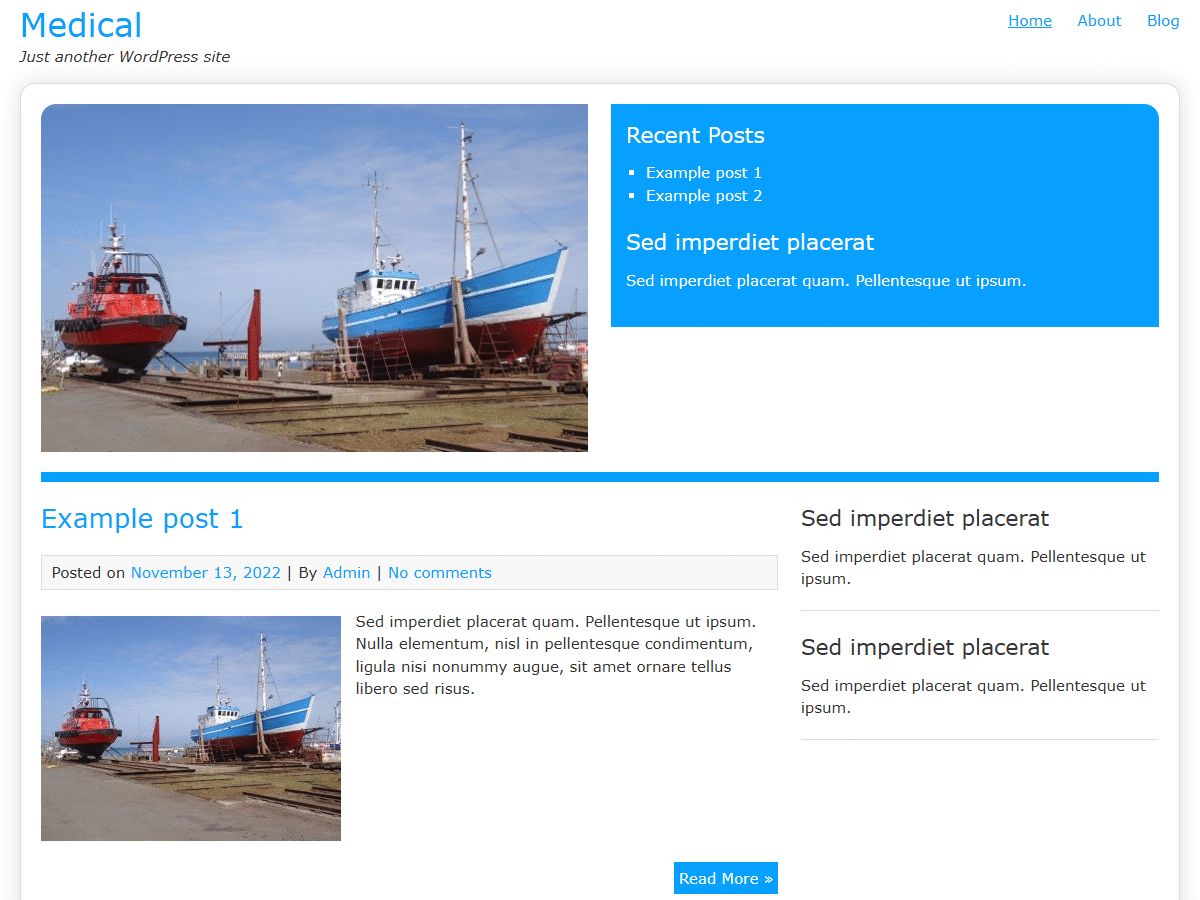 Medical theme screenshot
