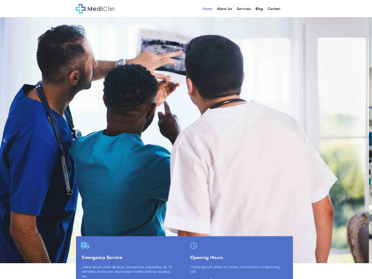 Mediclin theme screenshot