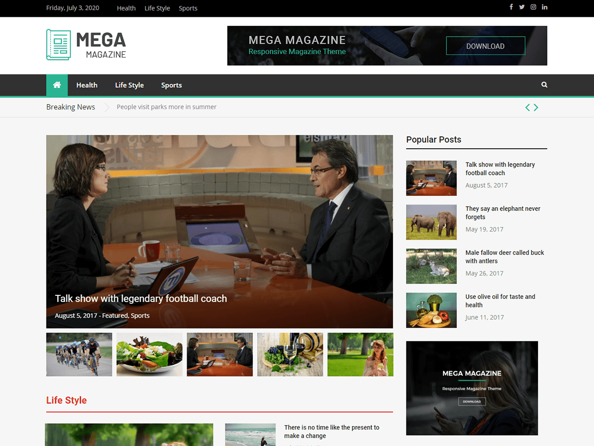 Mega Magazine theme screenshot
