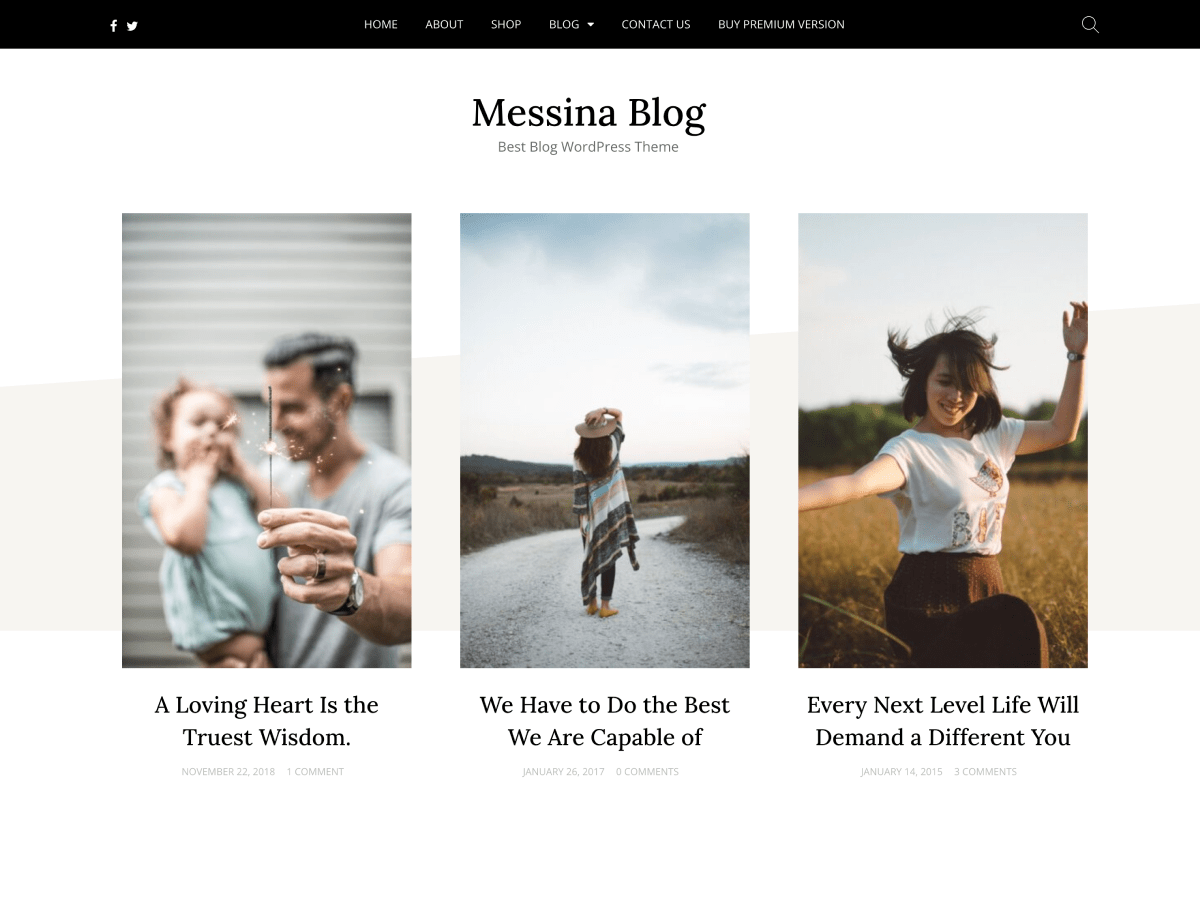 Messina Blog theme screenshot