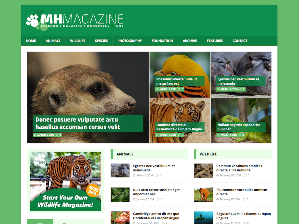 MH Biosphere theme screenshot
