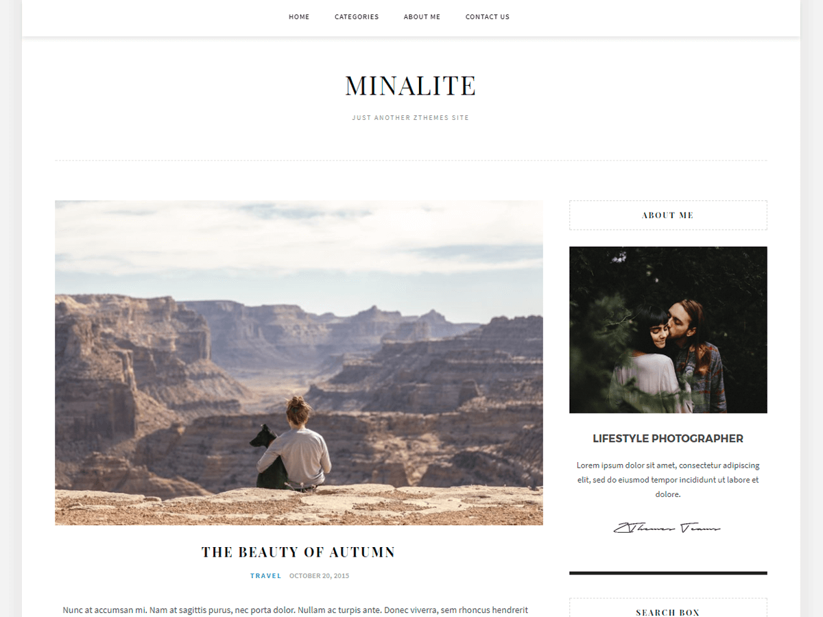 MinaLite theme screenshot