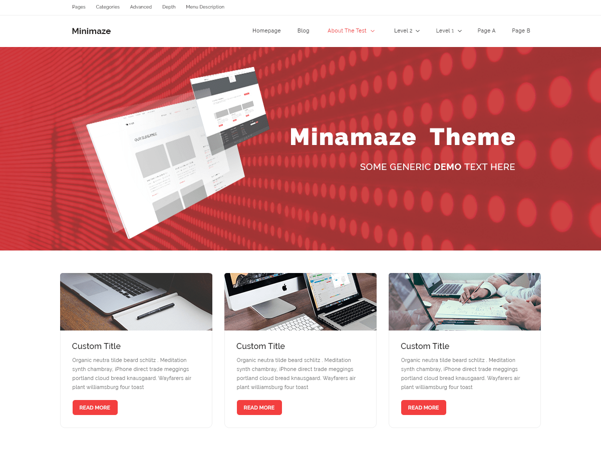 Minamaze eBusiness theme screenshot