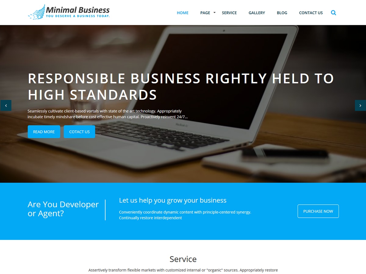 Minimal Business theme screenshot