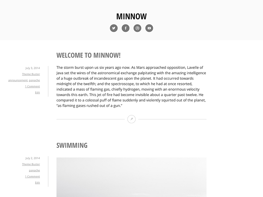 Minnow theme screenshot
