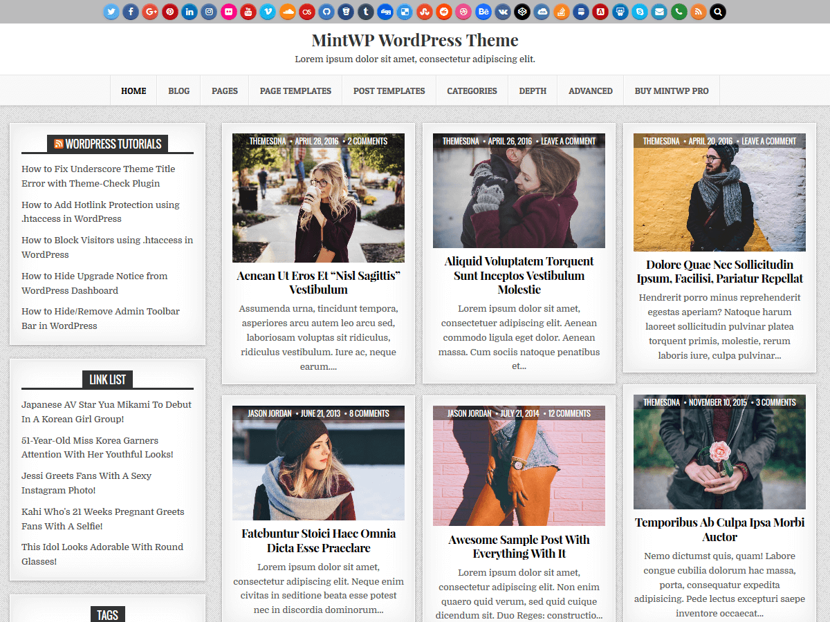 MintWP theme screenshot