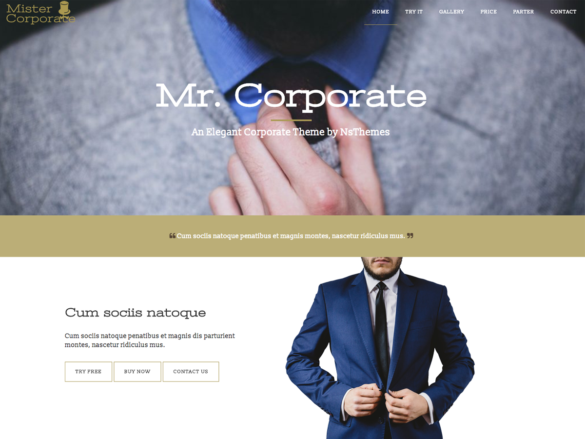 Mistercorporate theme screenshot