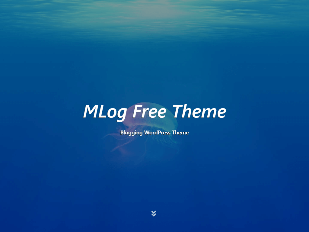 MLog Free theme screenshot