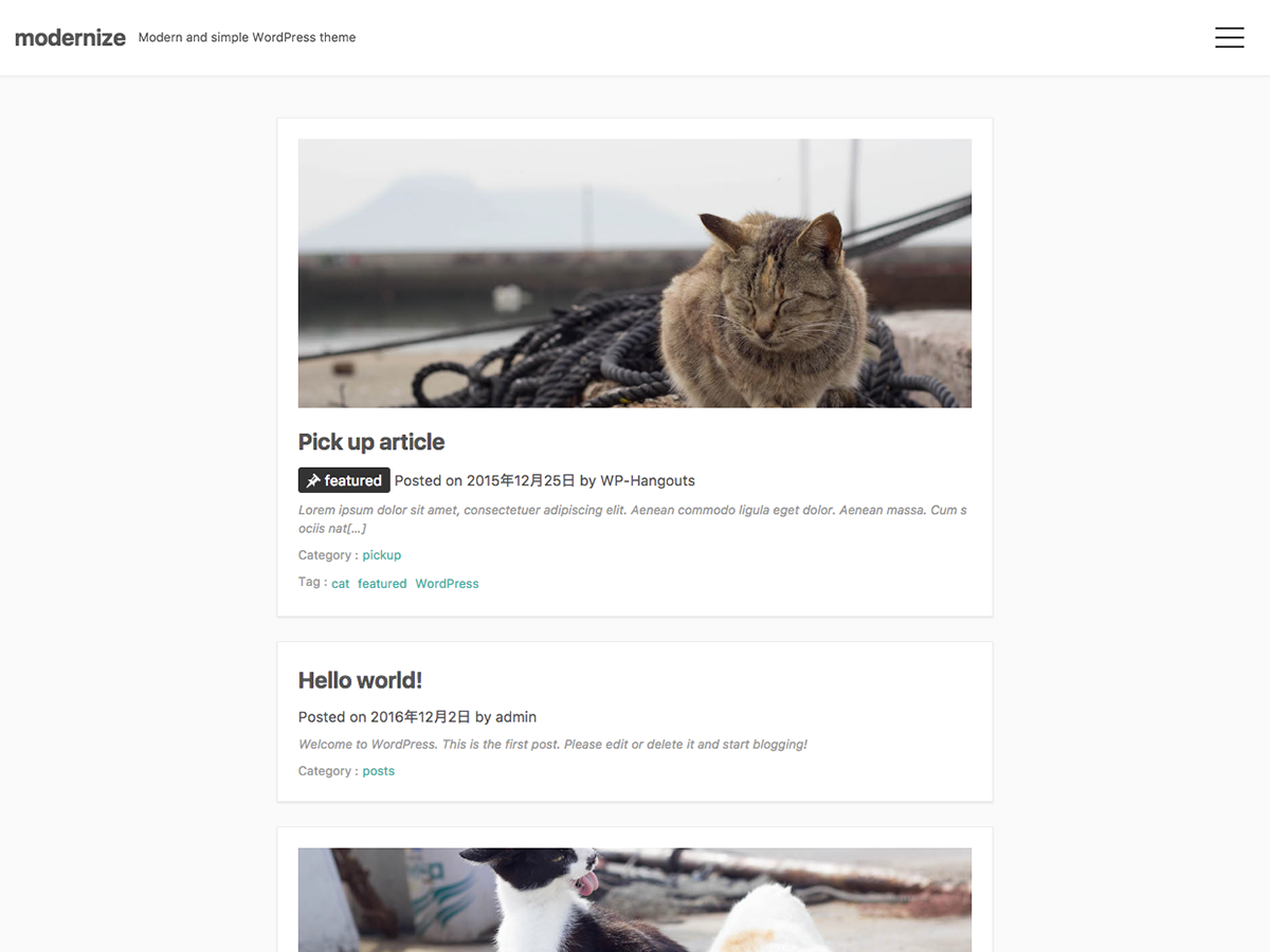 modernize theme screenshot