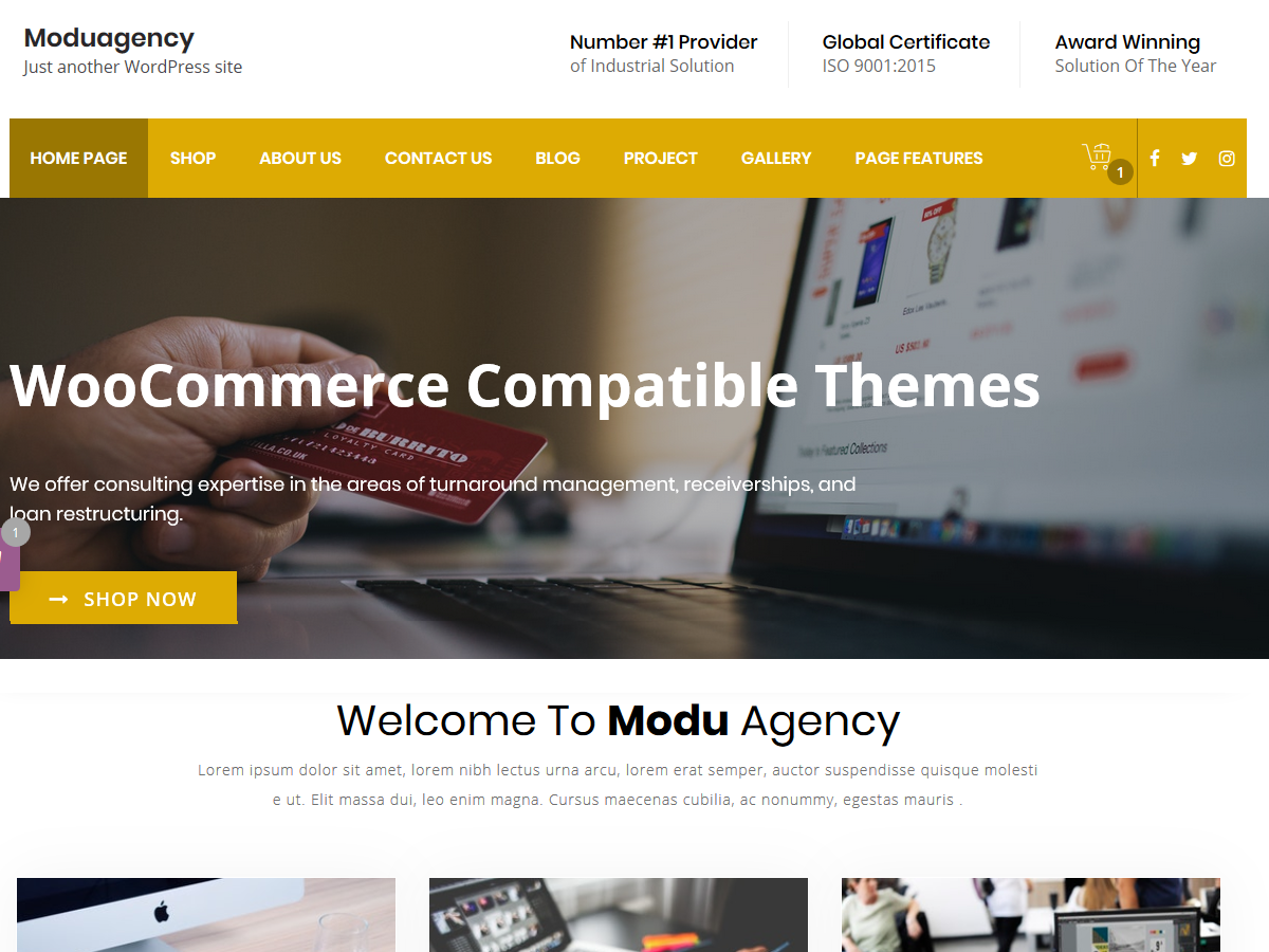 ModuAgency theme screenshot