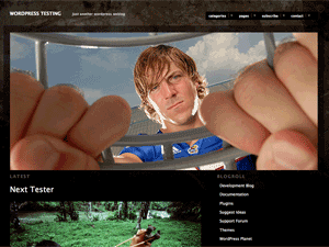 Modularity Lite theme screenshot